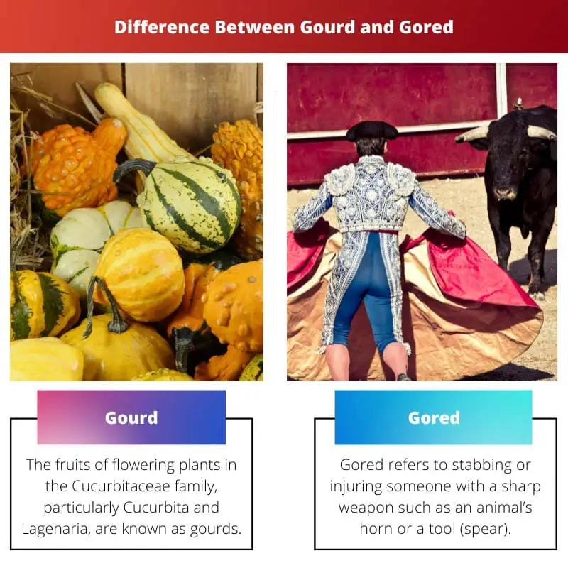 Gourd vs Gored – ความแตกต่างระหว่าง Gourd และ Gored