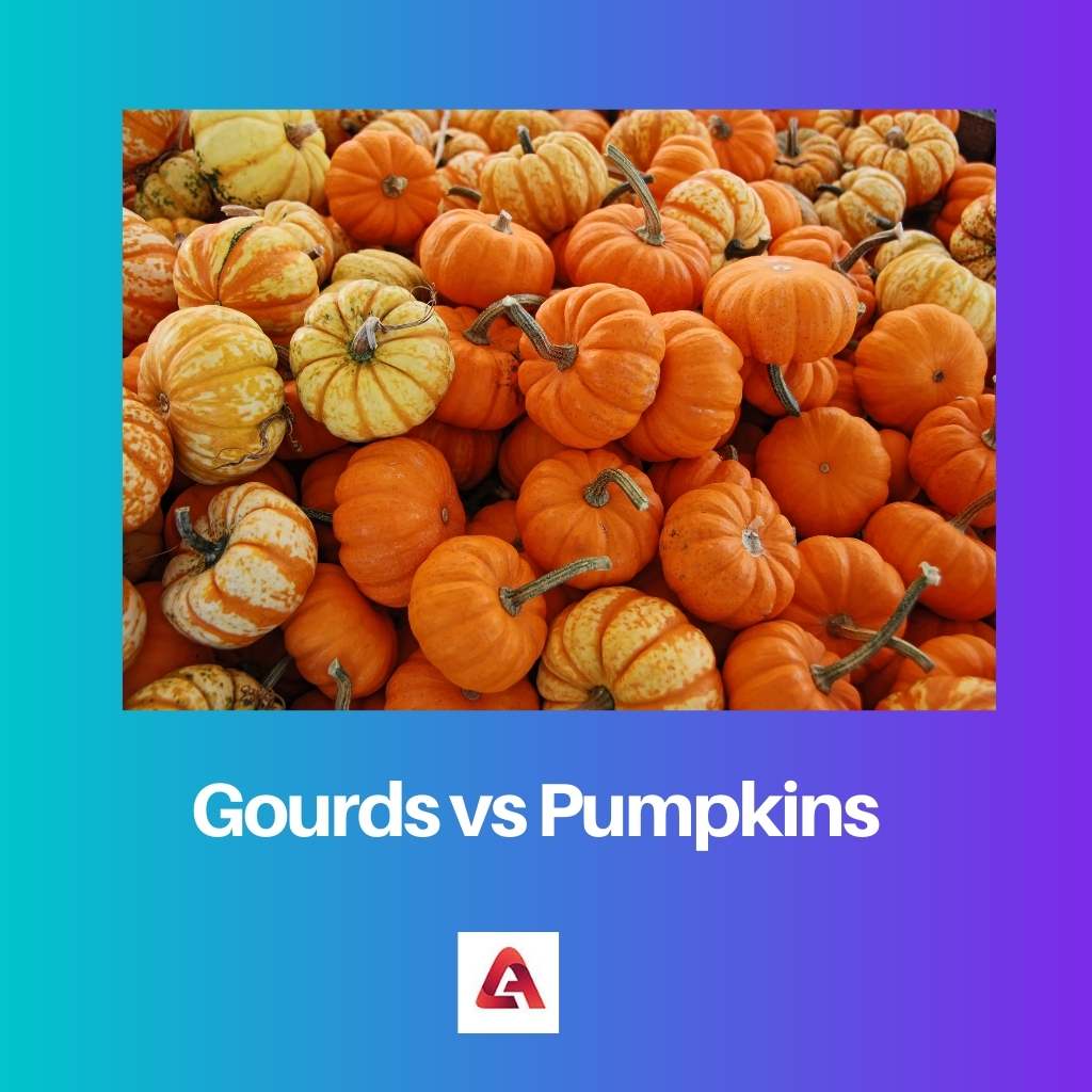 Gourds vs Pumpkins
