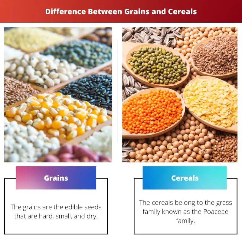 穀物と穀物 - 穀物と穀物の違い