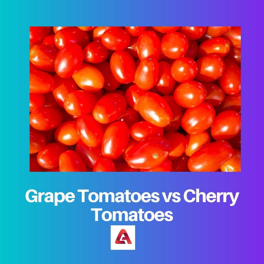 Hroznová rajčata vs cherry rajčata