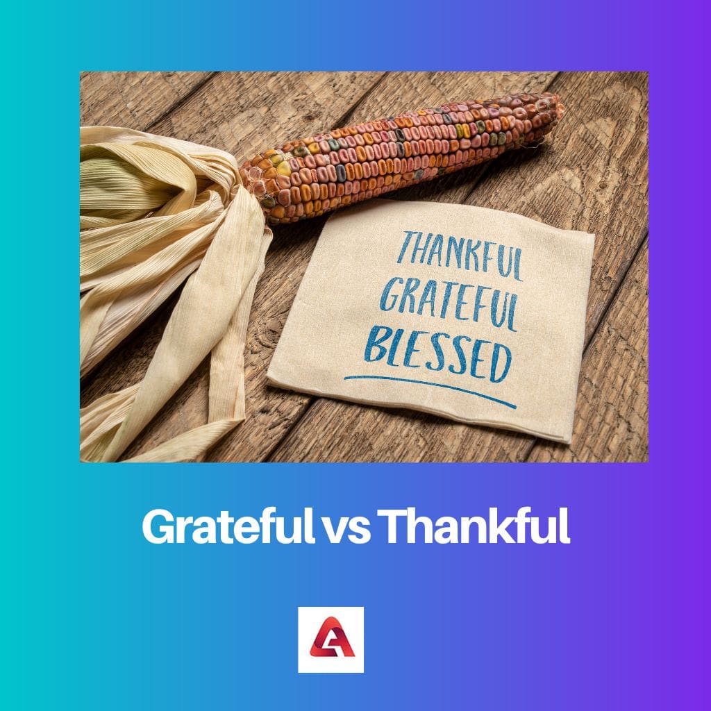 Vděčný vs vděčný