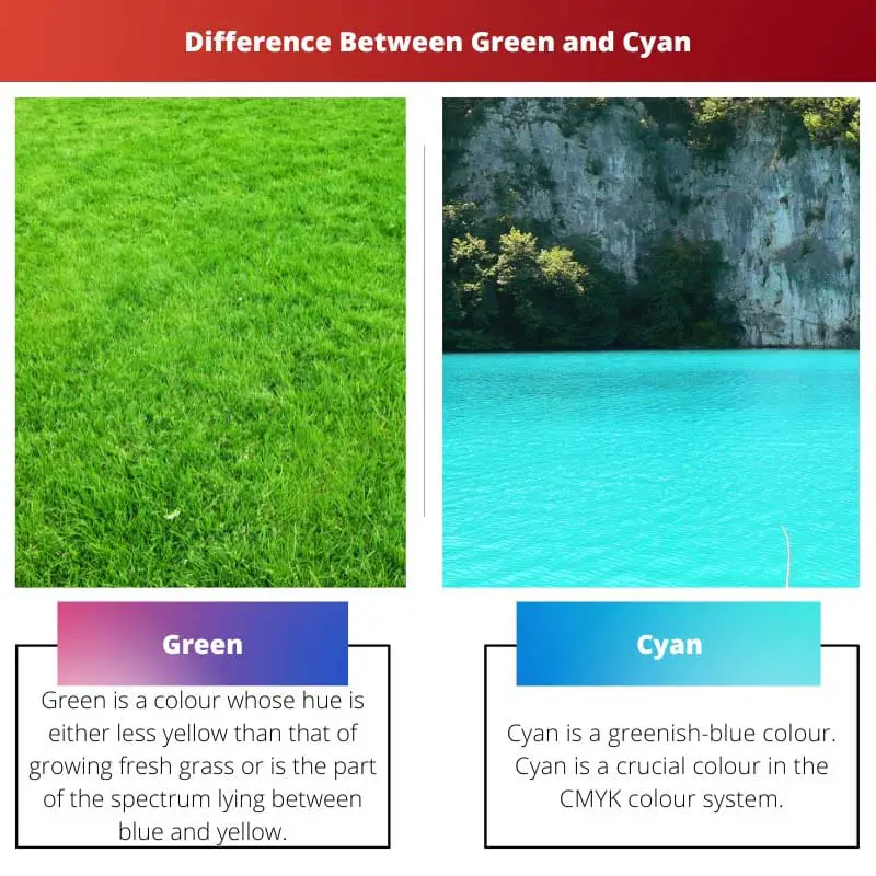 Green vs Cyan – ความแตกต่างระหว่างสีเขียวและสีฟ้า