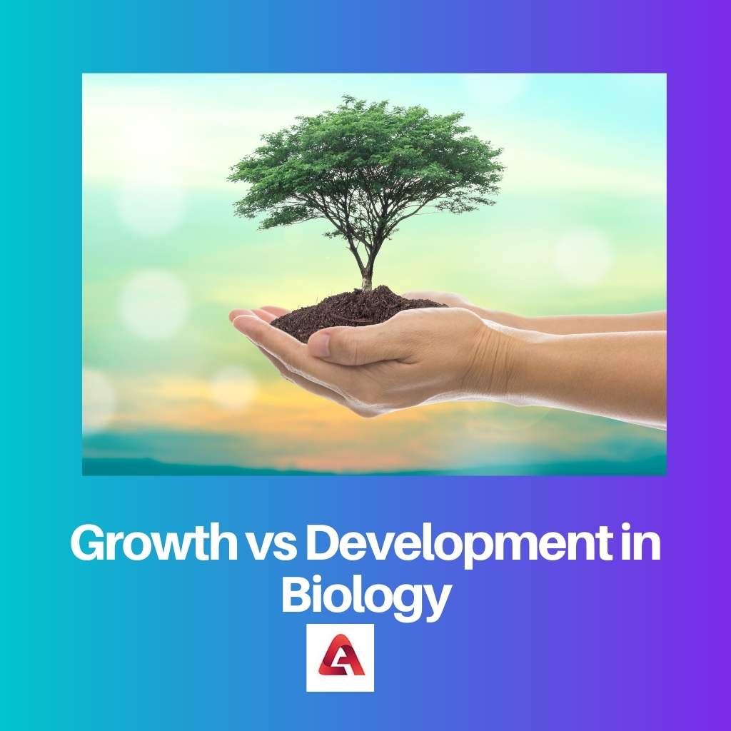 Vækst vs udvikling i biologi