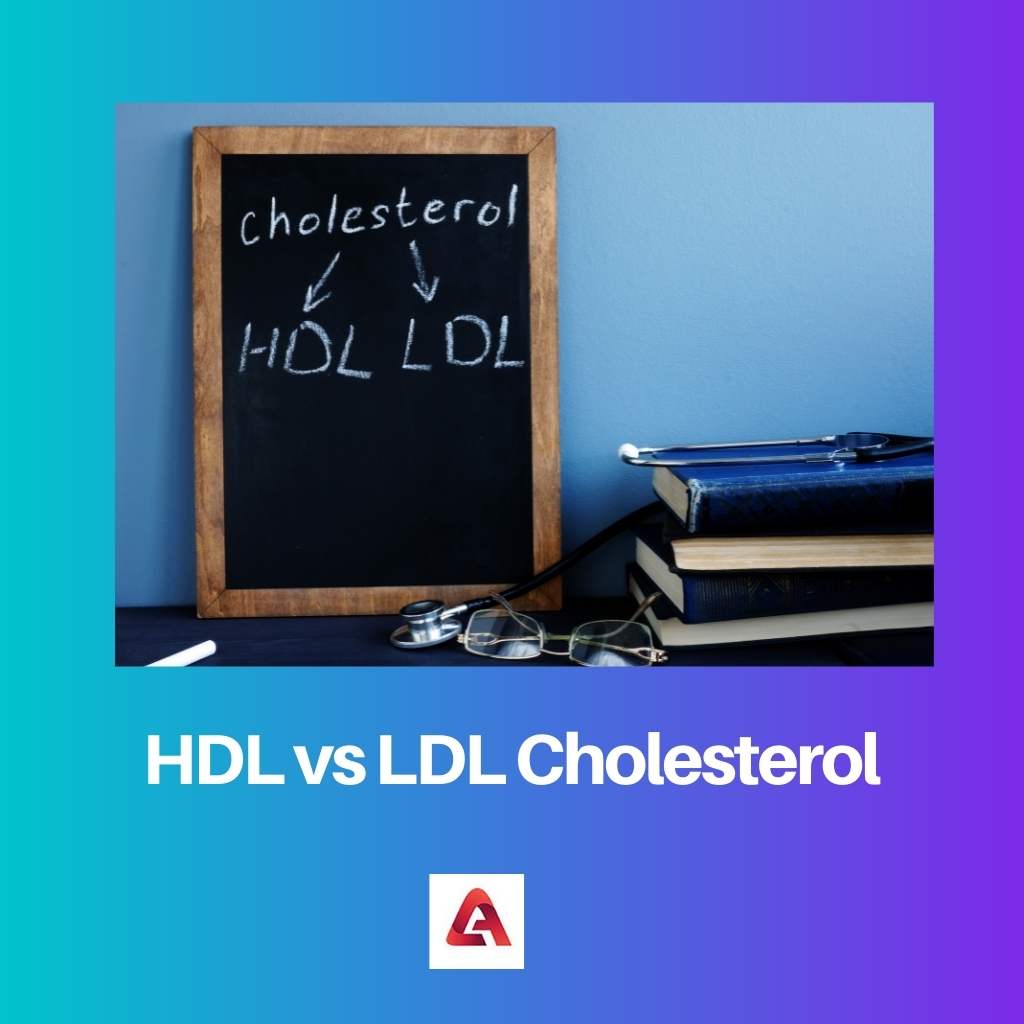 HDL vs LDL Cholesterol