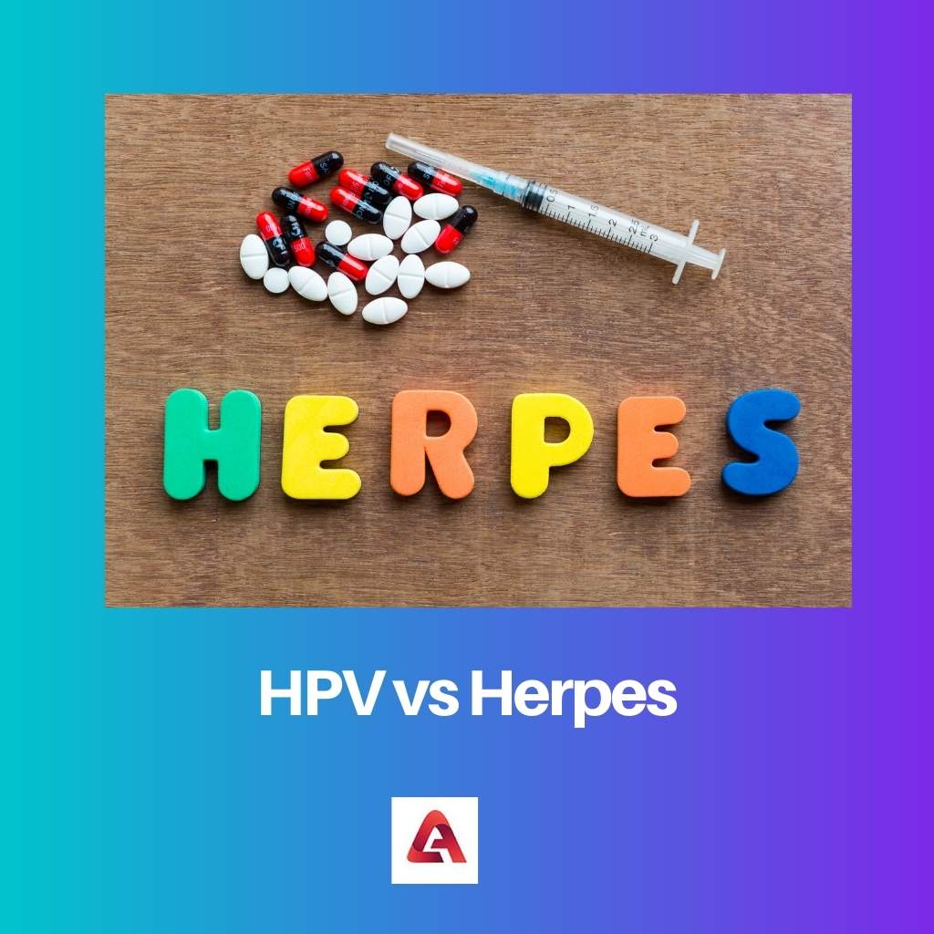 HPV vs Herpes