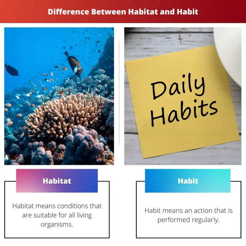 Habitat versus gewoonte - Verschil tussen habitat en gewoonte
