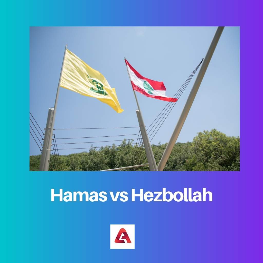 กลุ่มฮามาส vs กลุ่มฮิซบอลเลาะห์