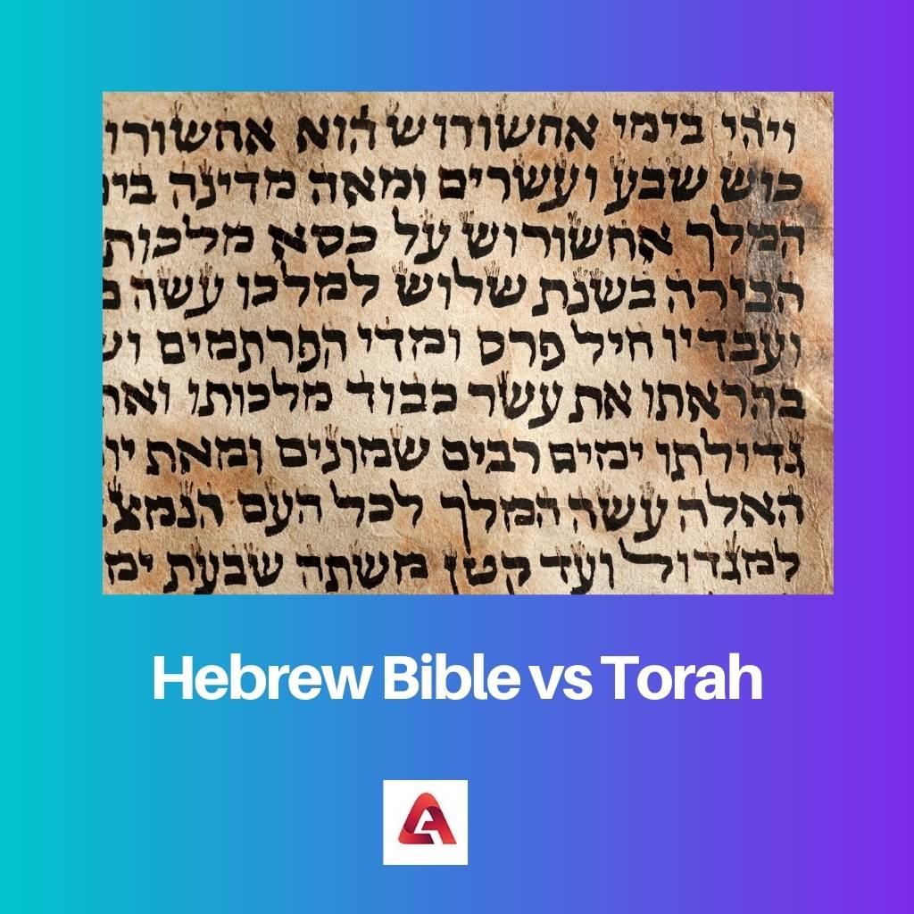 Hebrew Bible vs Torah Difference and Comparison