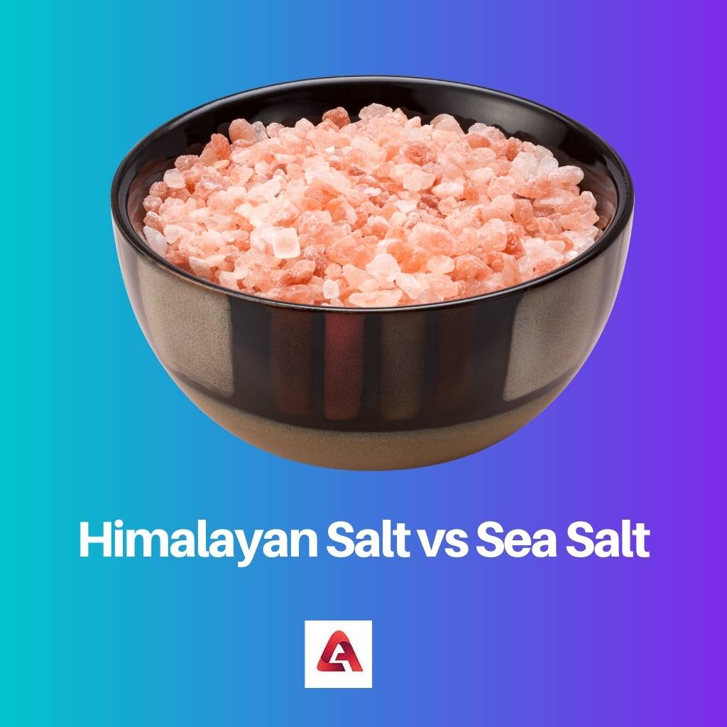 ヒマラヤの塩と海の塩