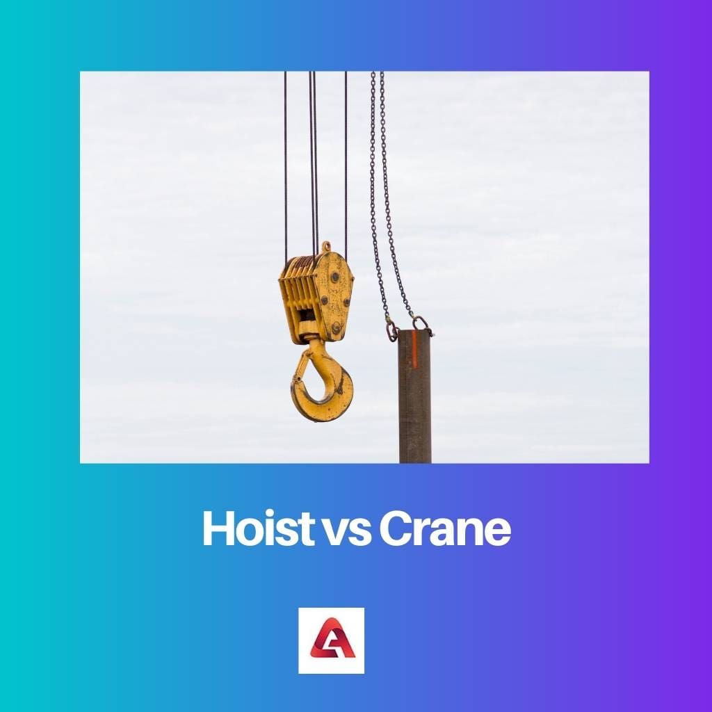 Hoist vs Crane