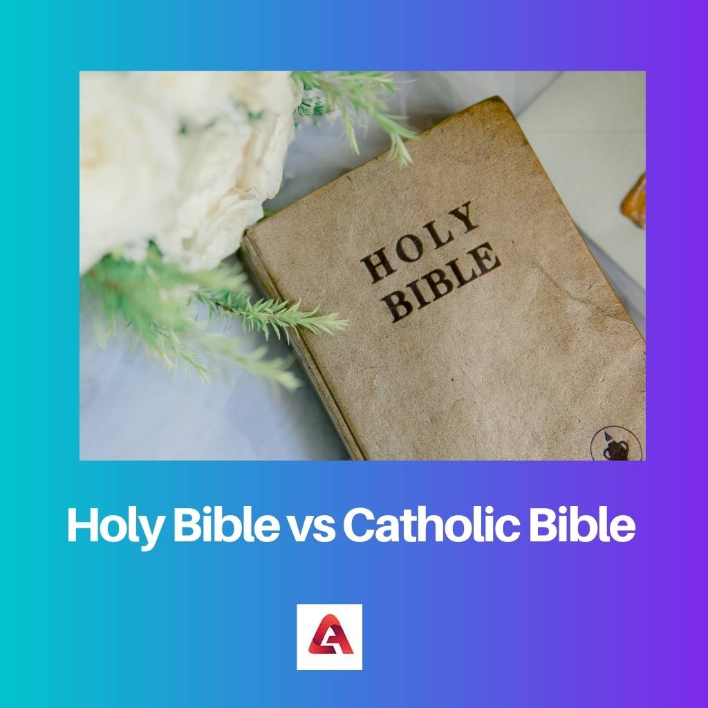 Heilige Bibel gegen katholische Bibel