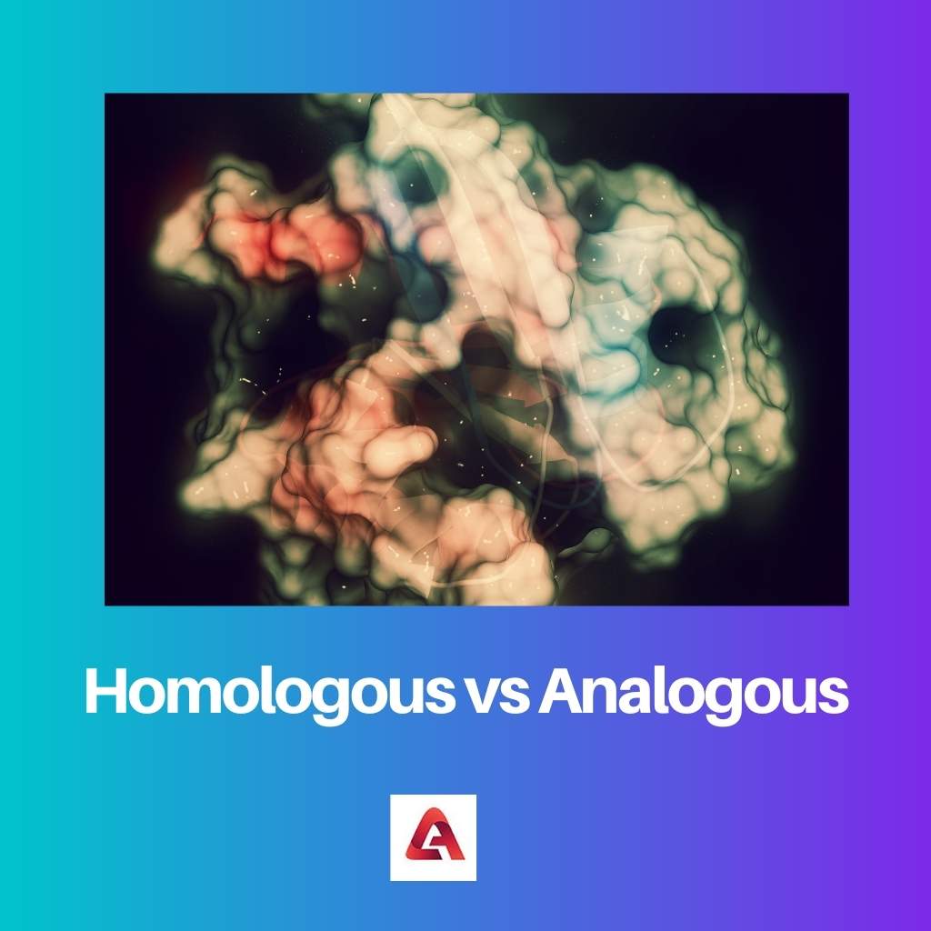 Homoloogne vs analoogne