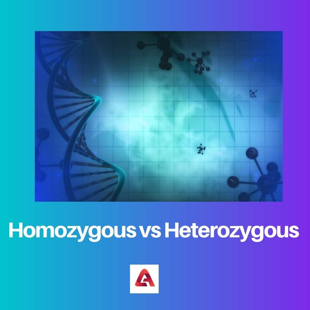 Homosügootne vs heterosügootne