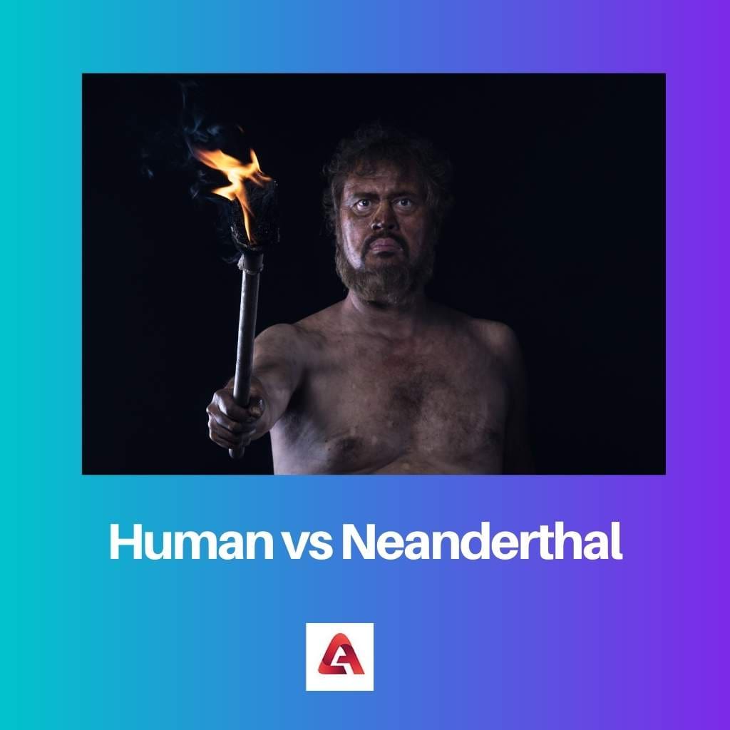 Human vs Neanderthal