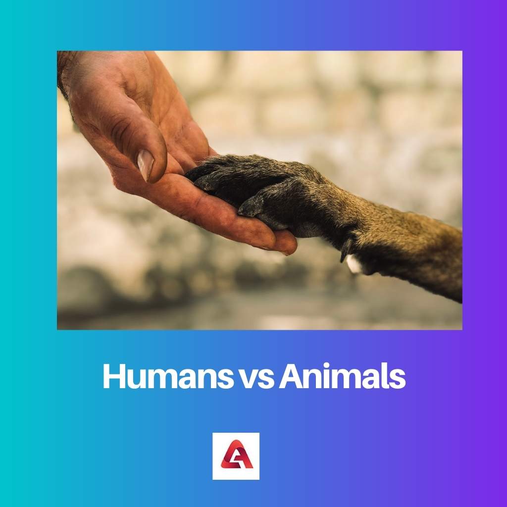 Humans vs Animals