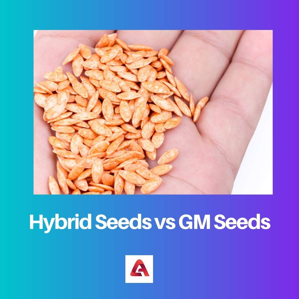 Гібридне насіння проти ГМ-насіння 1