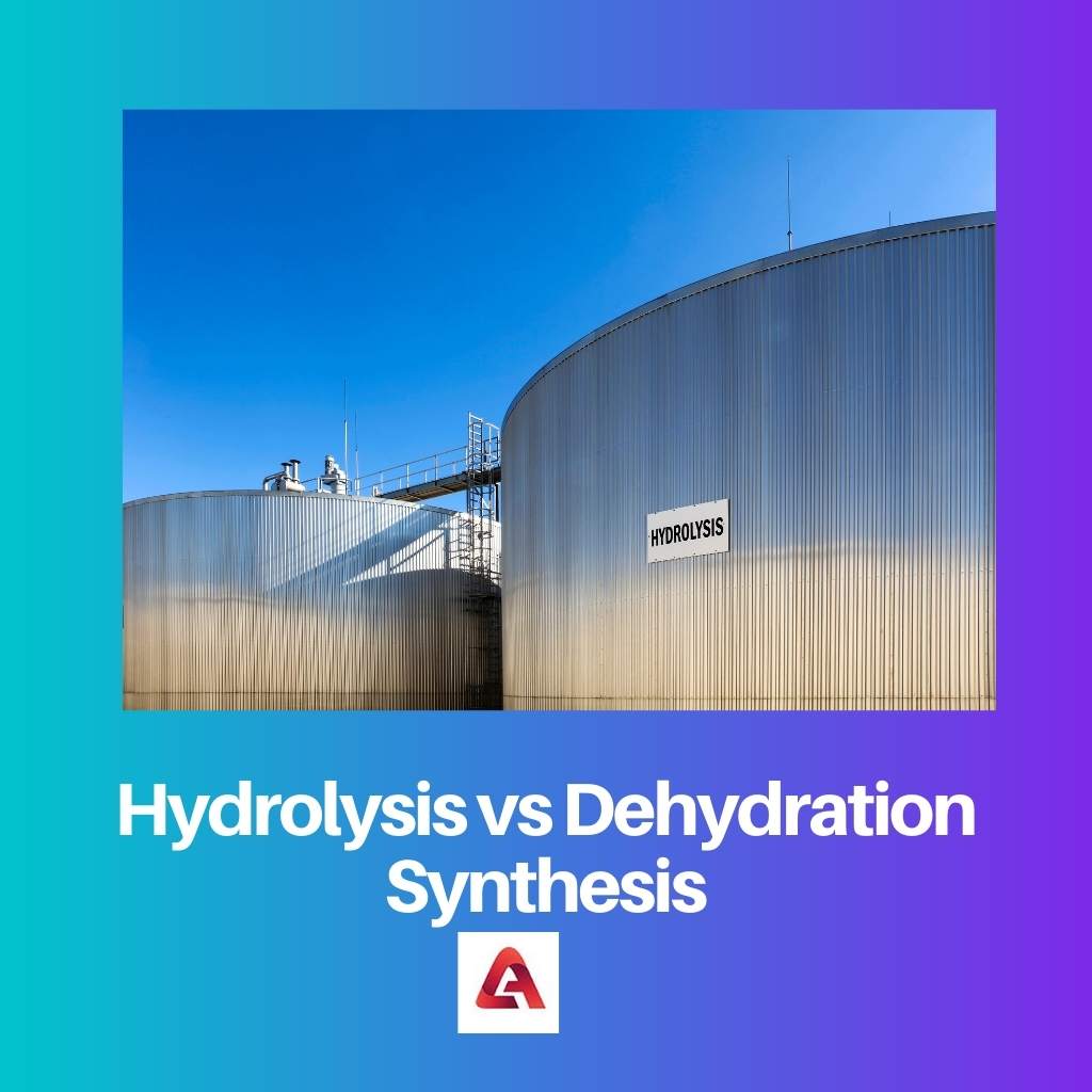 Síntesis de hidrólisis vs deshidratación