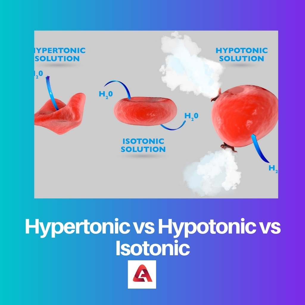 Hipertónico vs Hipotónico vs Isotónico