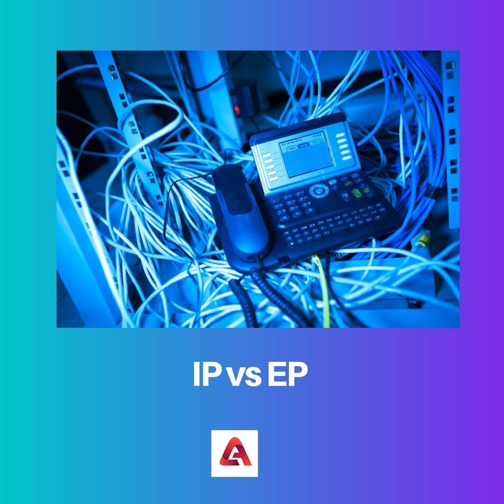 IP vs PE