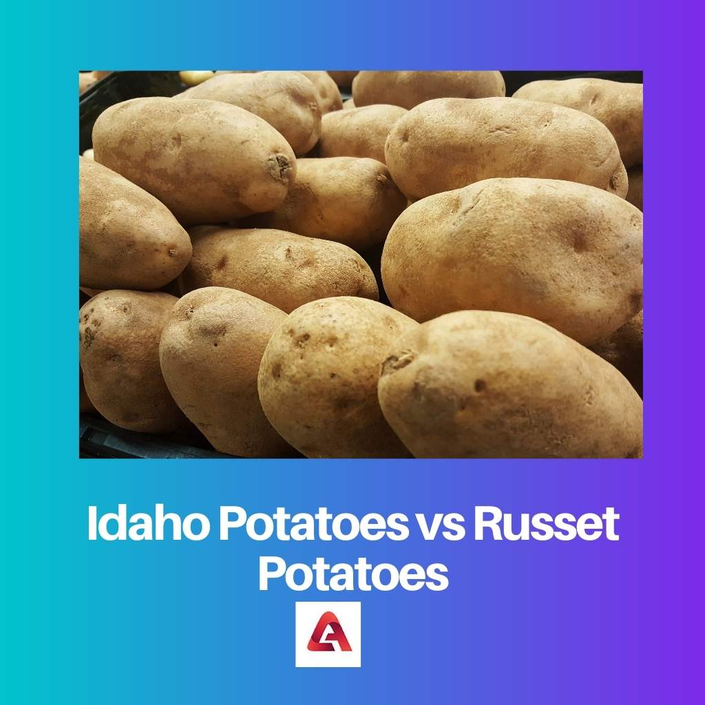 Pommes de terre Idaho vs pommes de terre Russet
