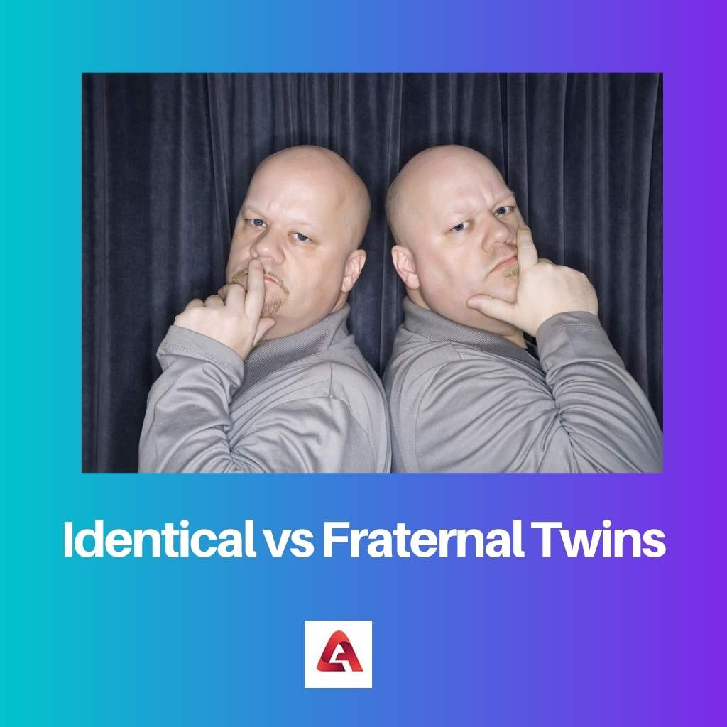 Identical vs Fraternal Twins