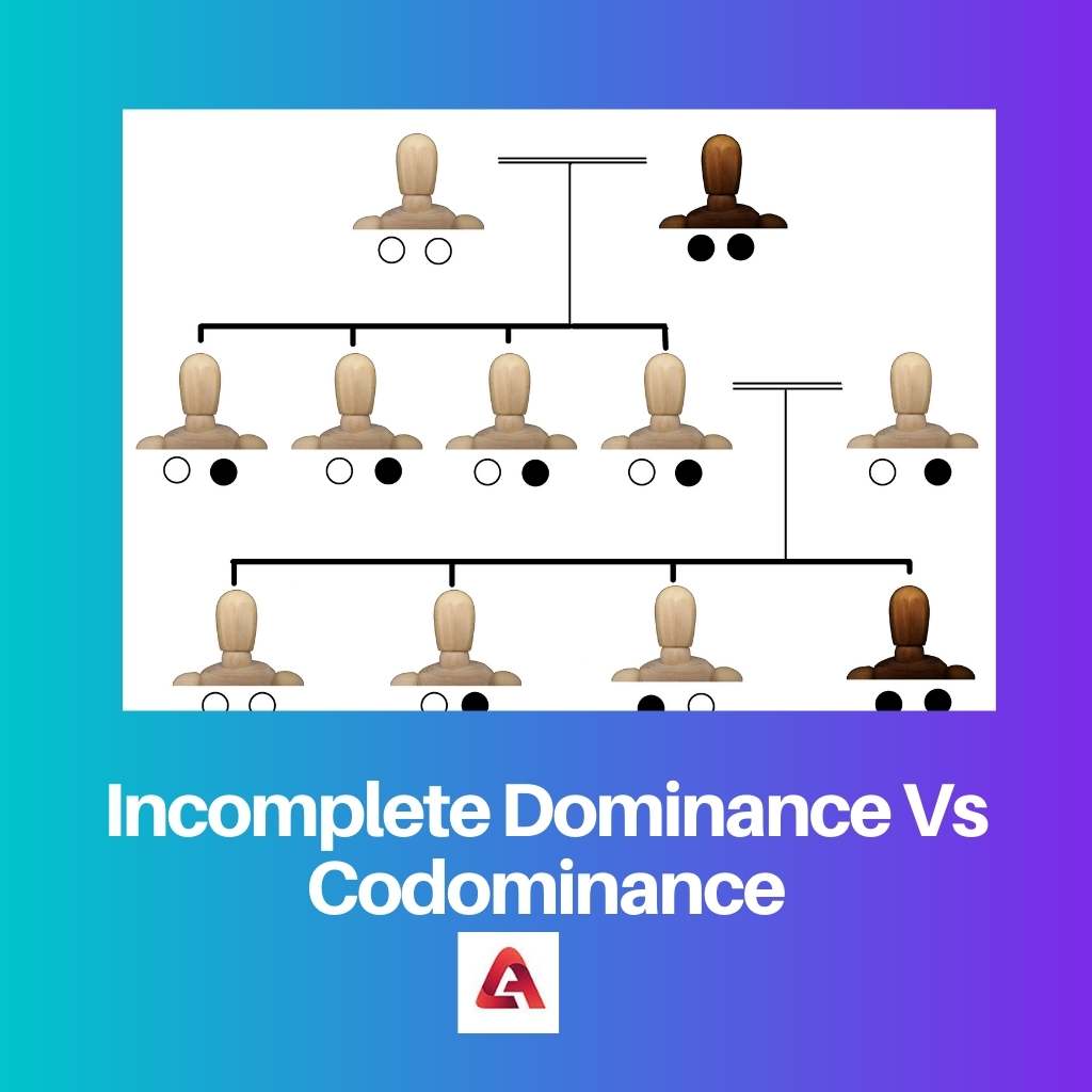 Unvollständige Dominanz vs. Codominanz