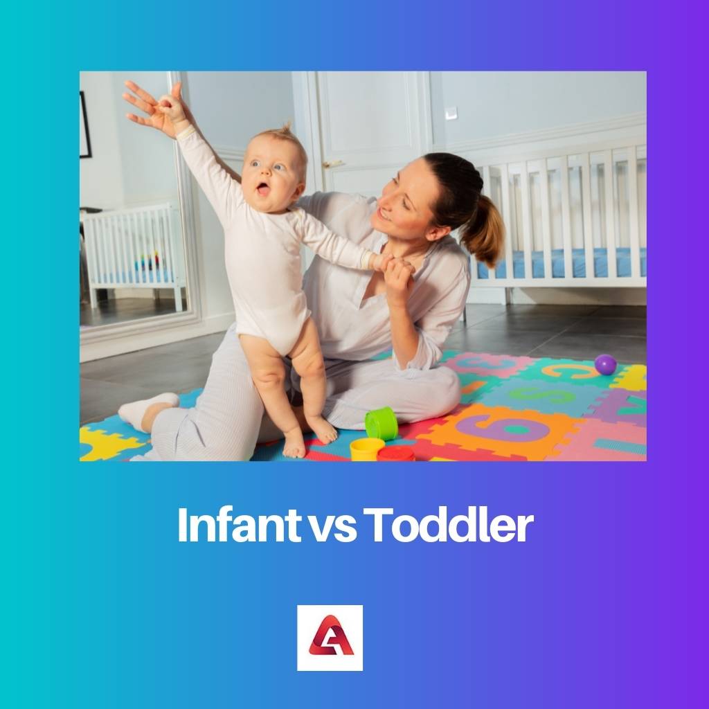 Infant vs Toddler