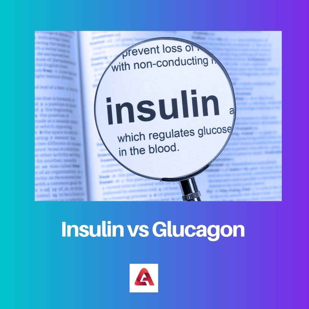 Insulin vs Glukagon