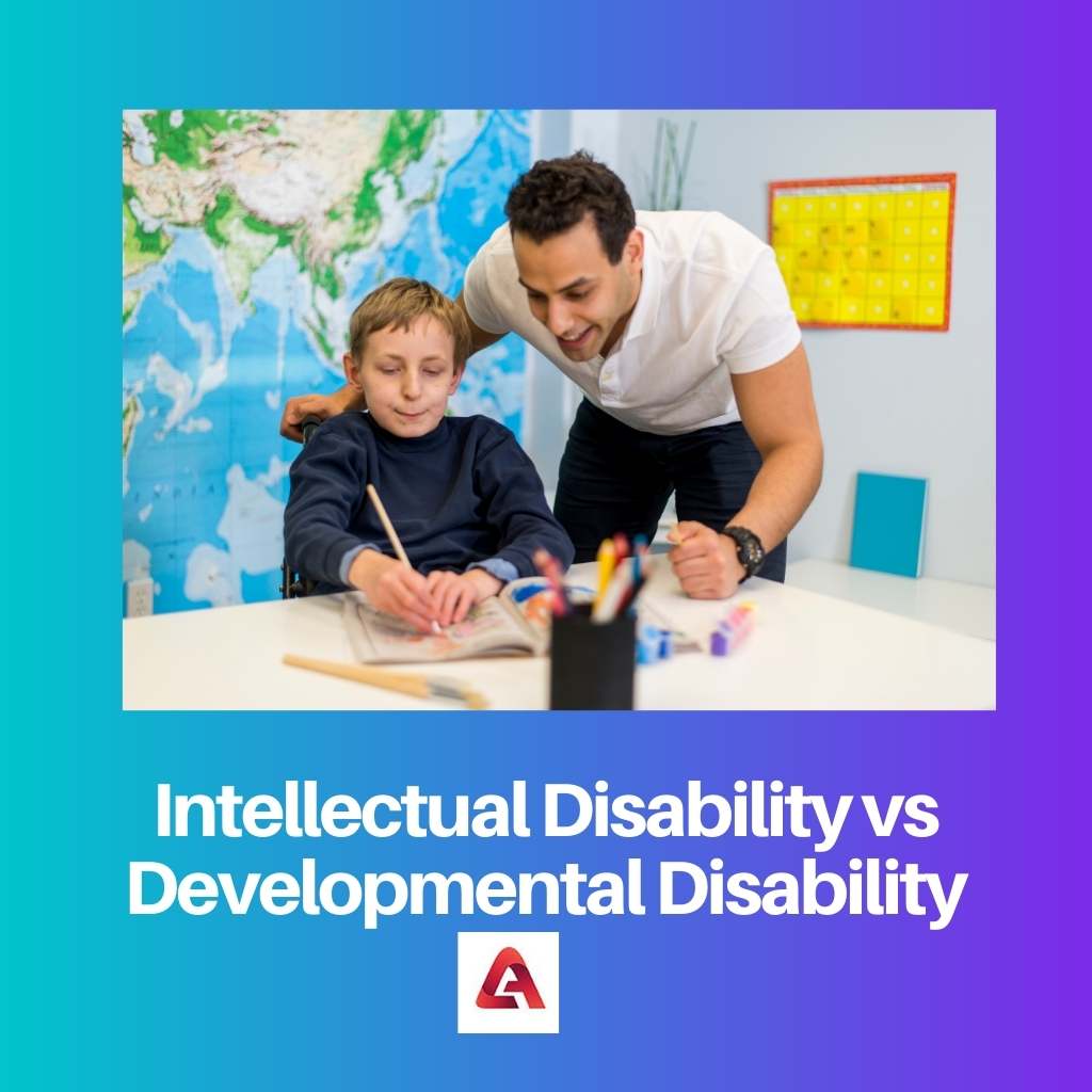 Discapacidad Intelectual vs Discapacidad del Desarrollo