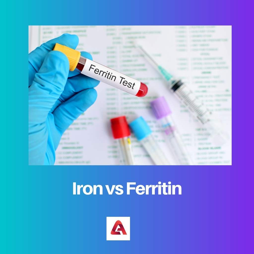 Iron vs Ferritin