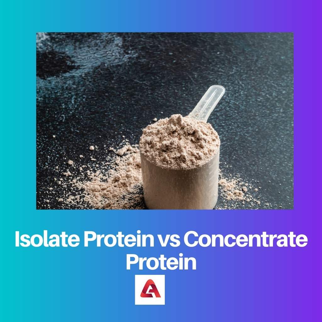 Isolate Protein vs Concentrate Protein