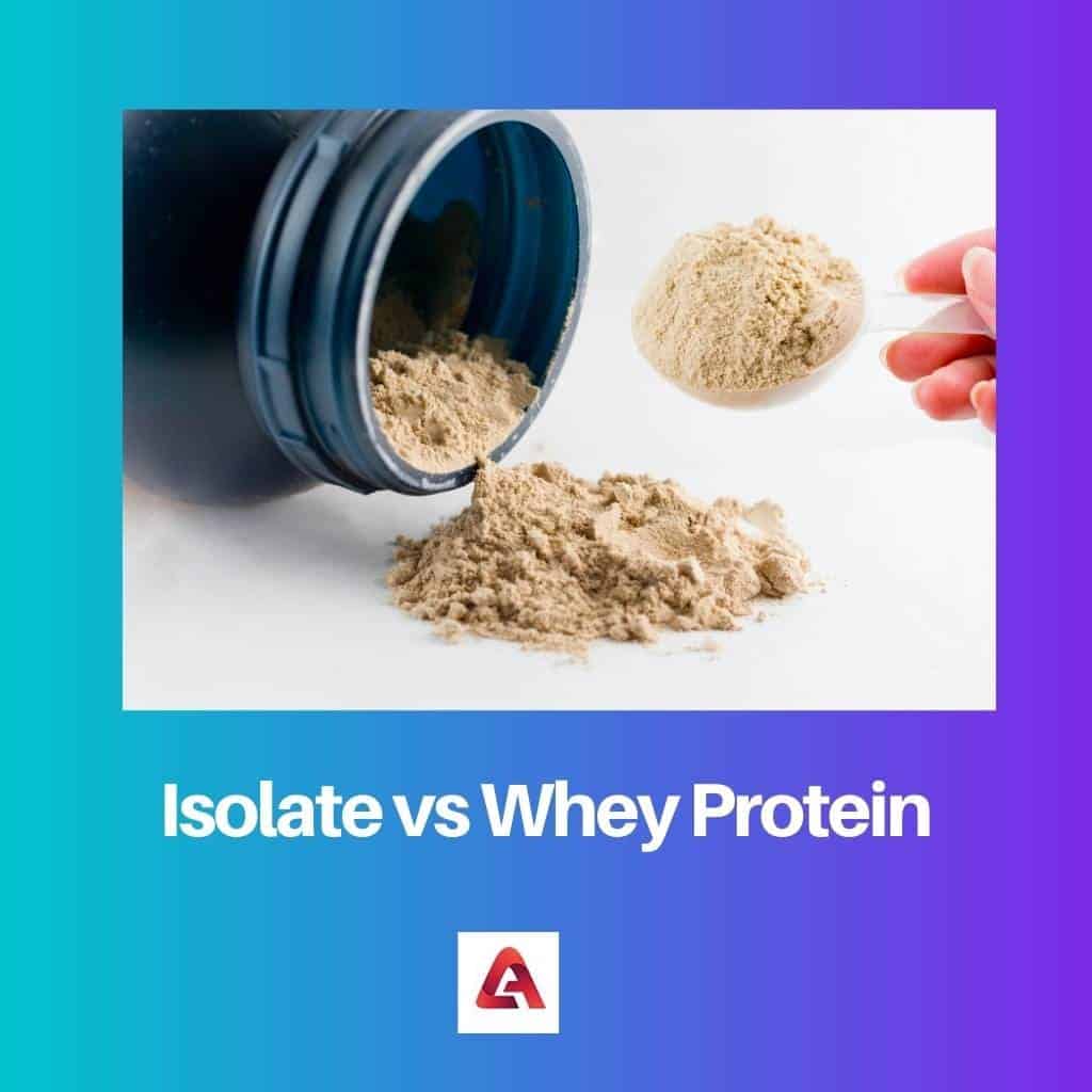 Isolat vs protéine de lactosérum