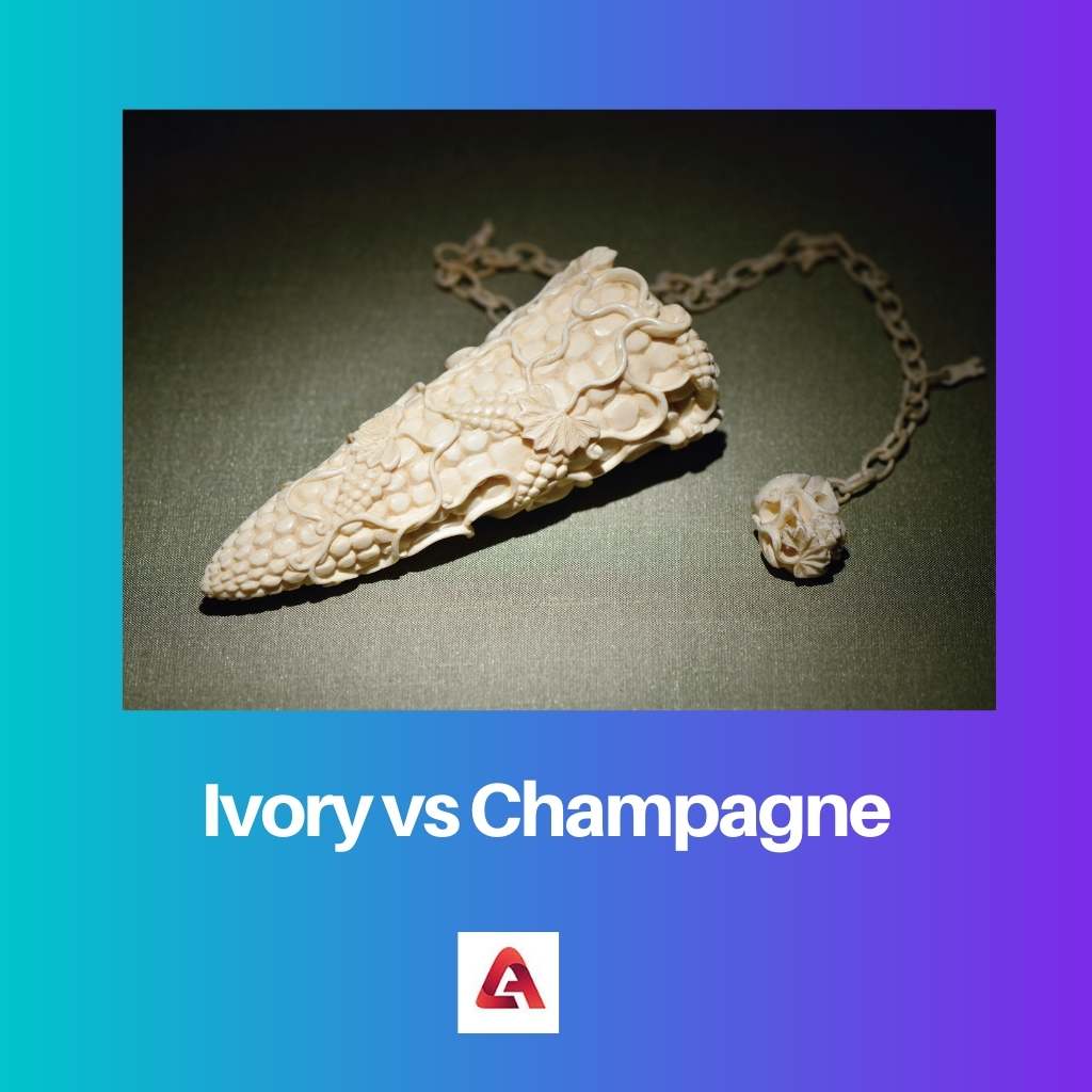 Ivory vs Champagne