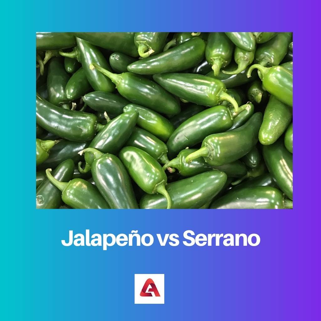 Jalapeno contre Serrano