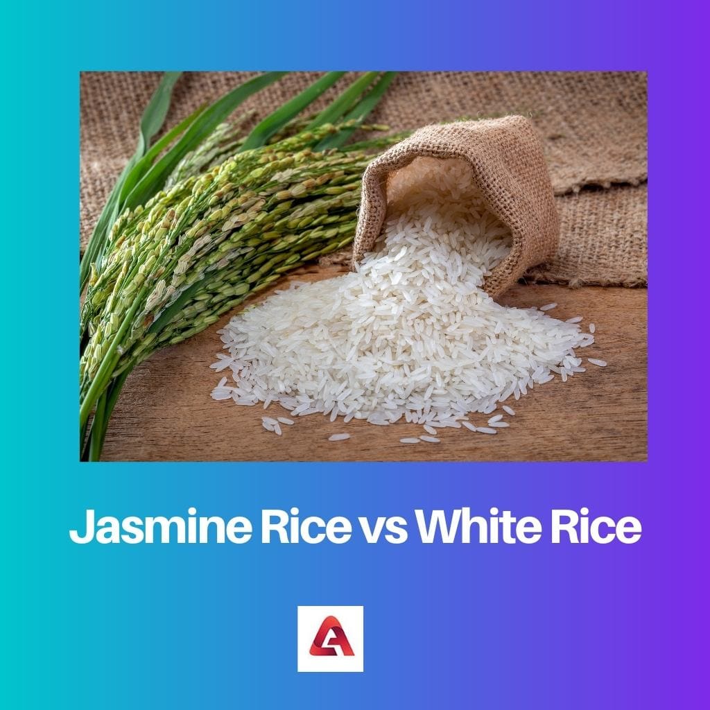 Gạo Jasmine so với gạo trắng
