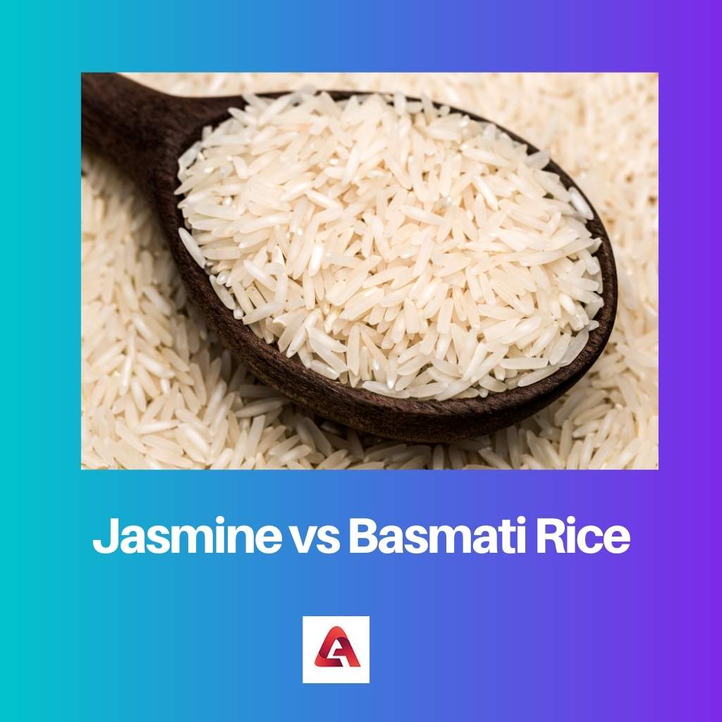 Jasmine vs Basmati Rice