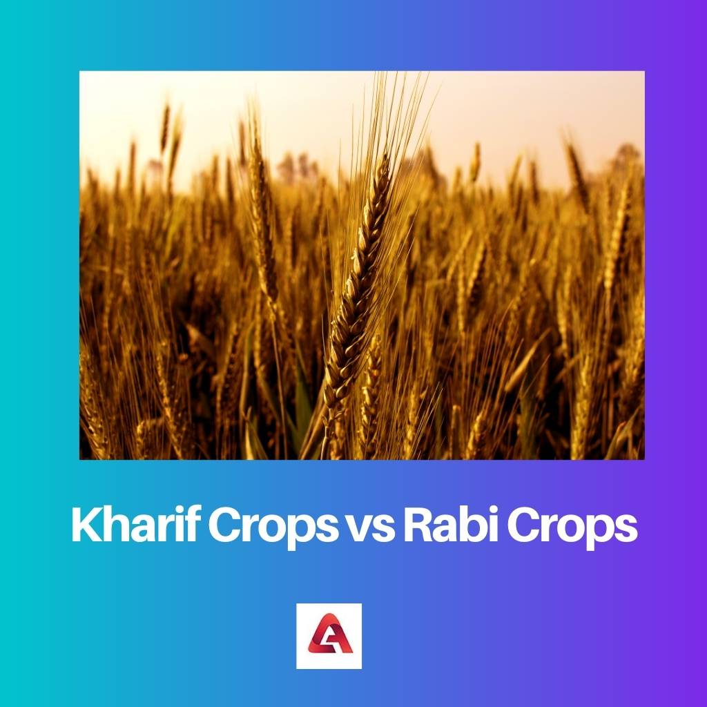 Cultures Kharif vs cultures Rabi