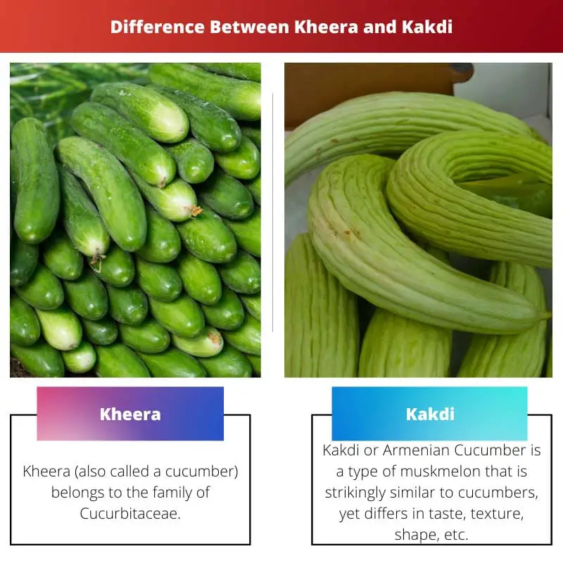 Kheera vs Kakdi - Verschil tussen Kheera en Kakdi