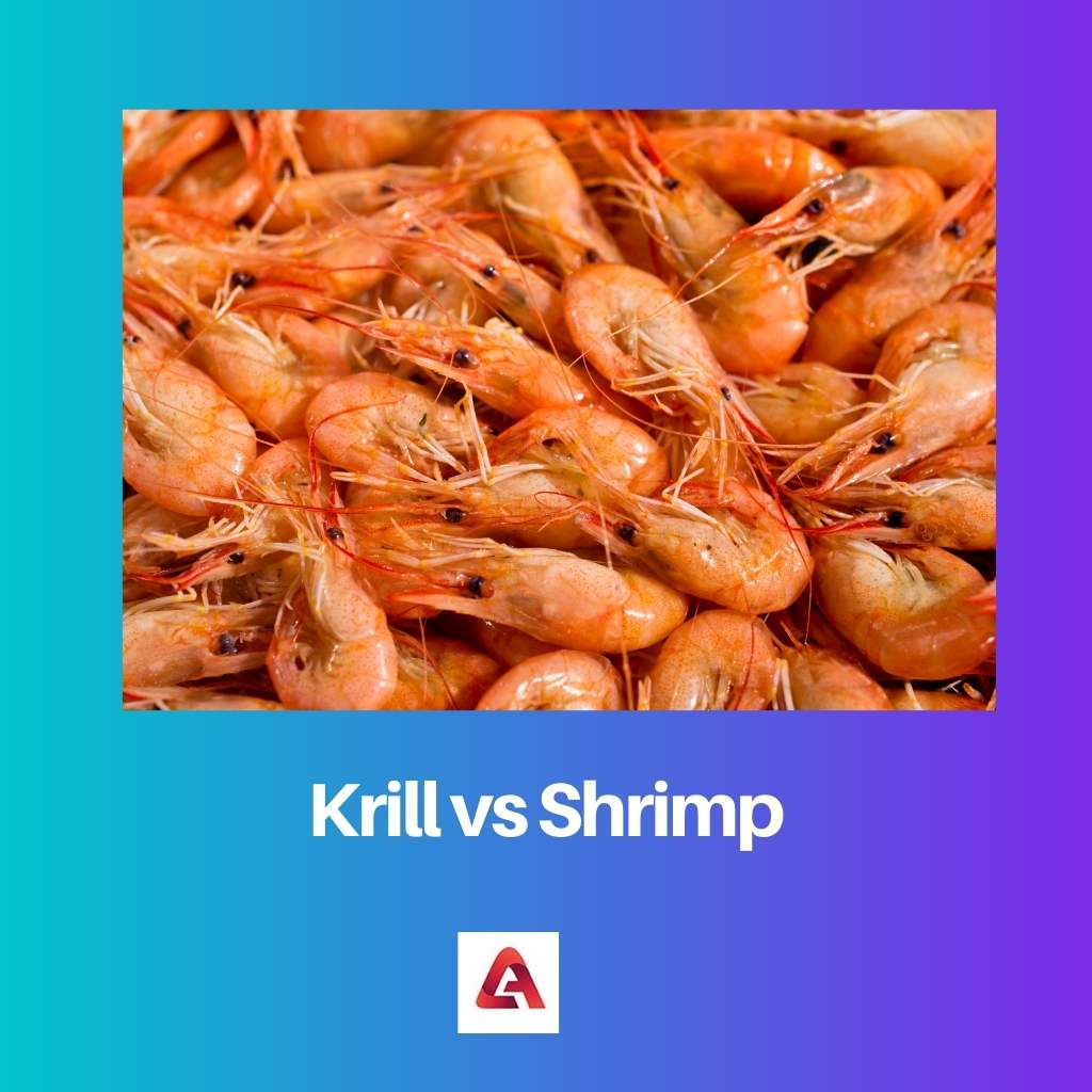 Krill vs camarones