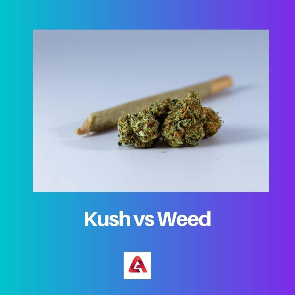 Kush vs Weed