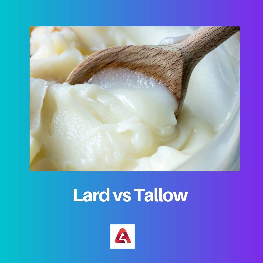 Lard vs Tallow