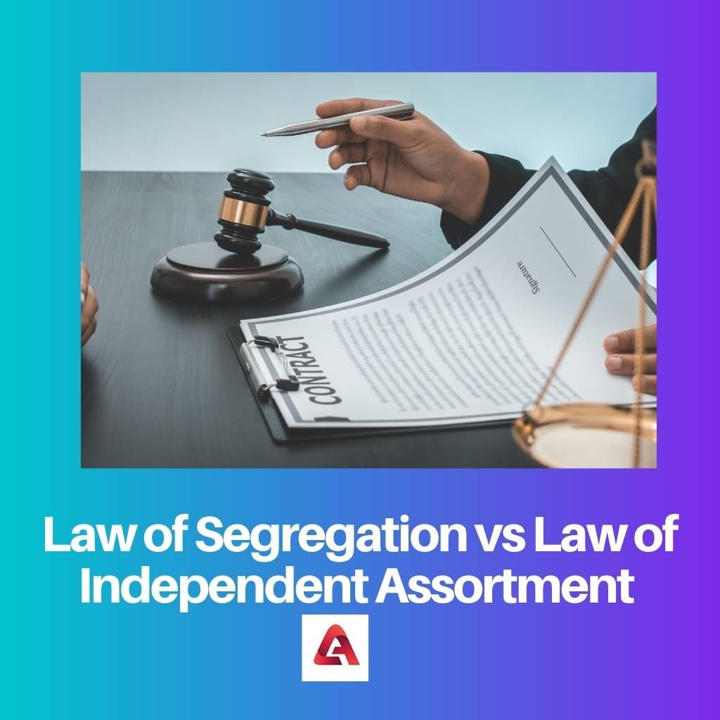 Закон сегрегации против закона независимого ассортимента