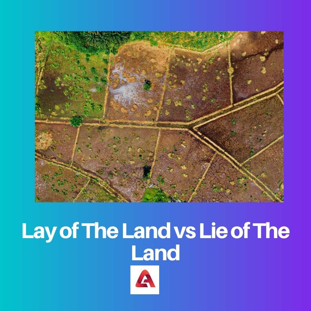 Lay of The Land versus Lie of The Land
