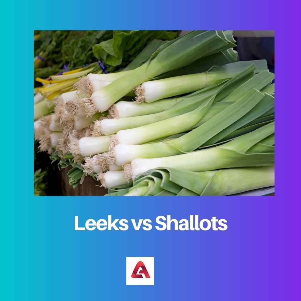 Leeks vs Shallots