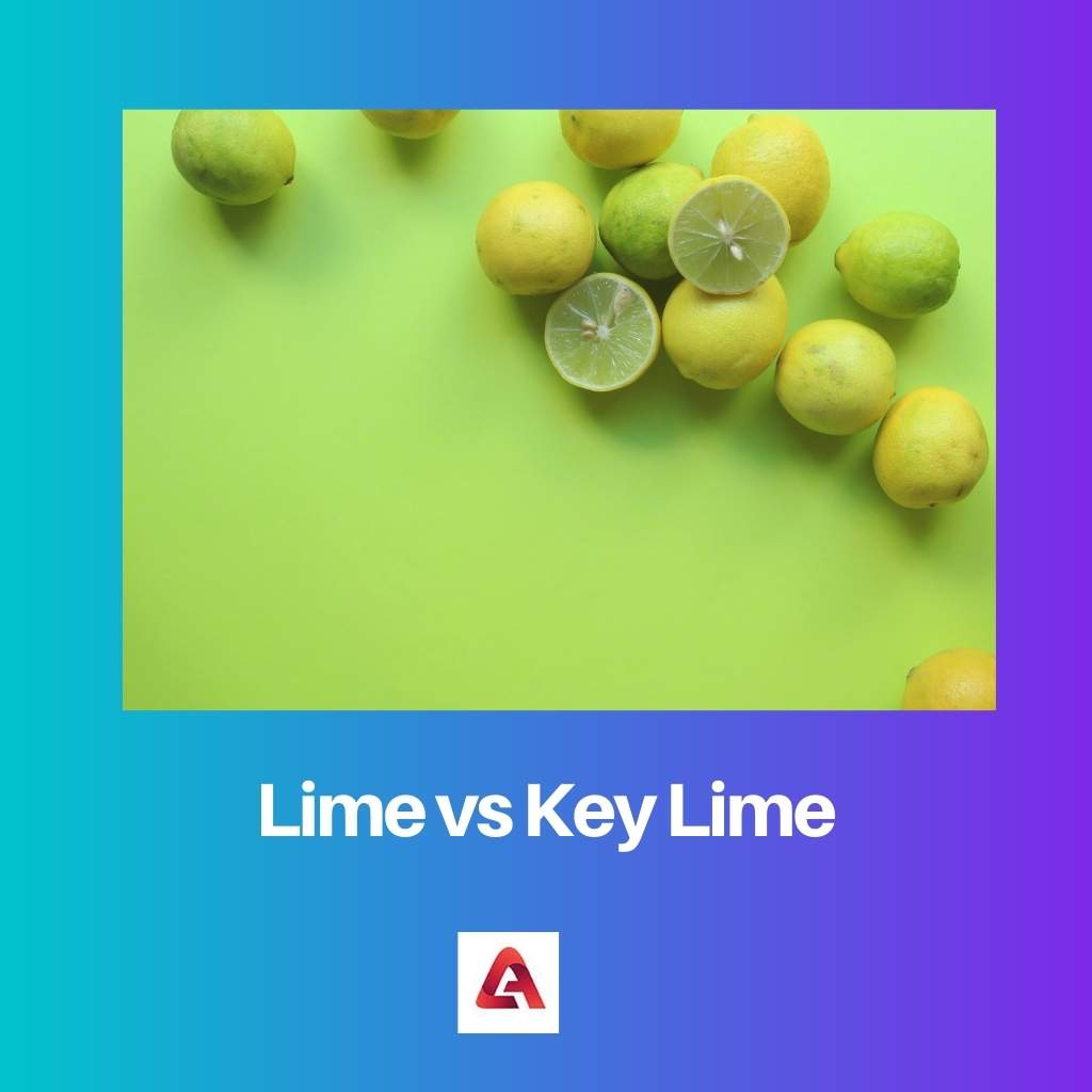 Lime vs Key Lime