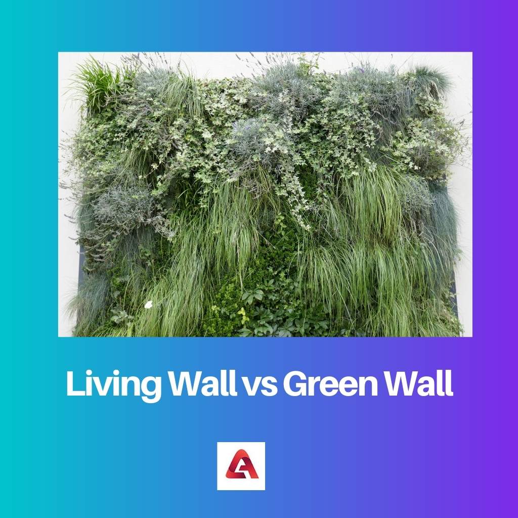 Lebende Wand vs. grüne Wand