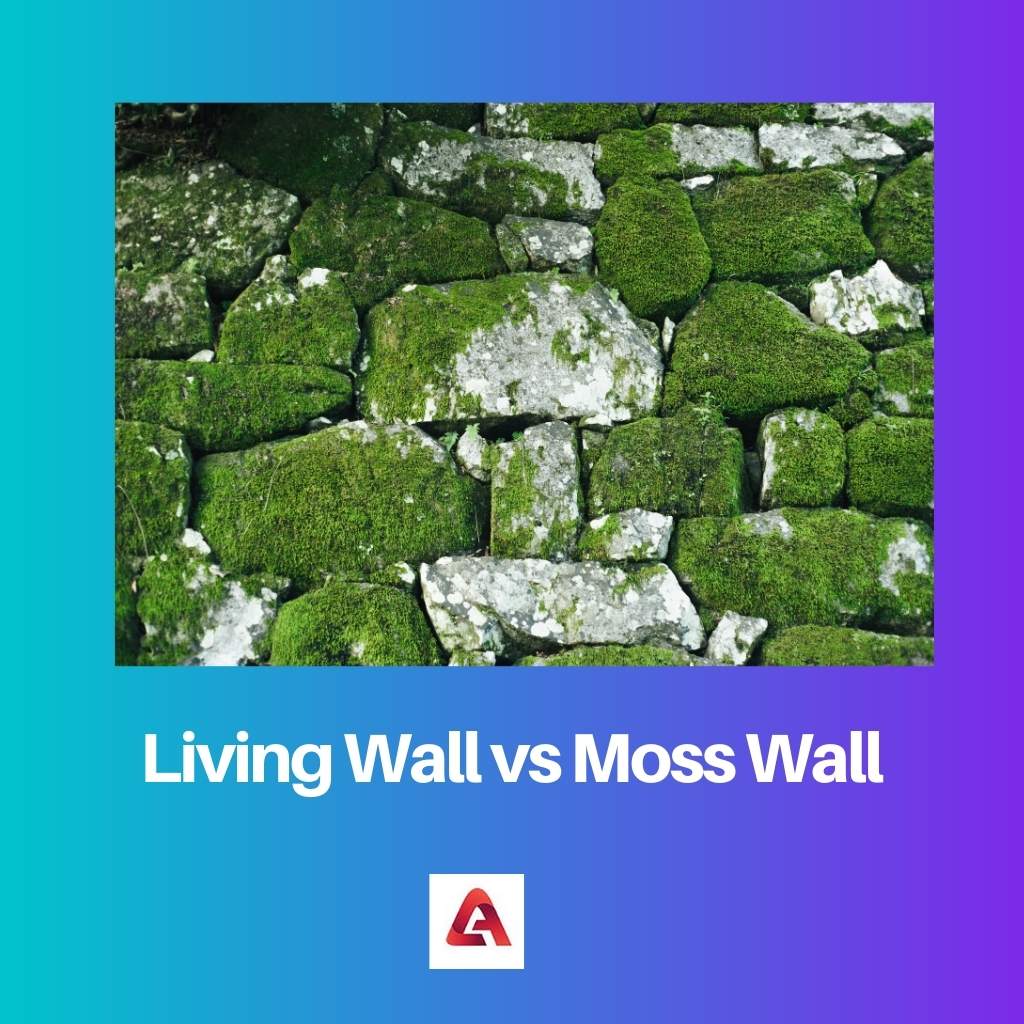 Muro vivente contro muro di muschio