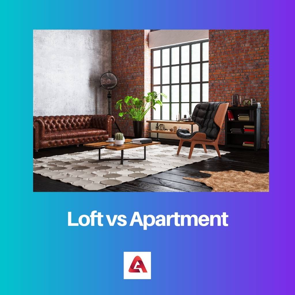 Loft vs Apartment