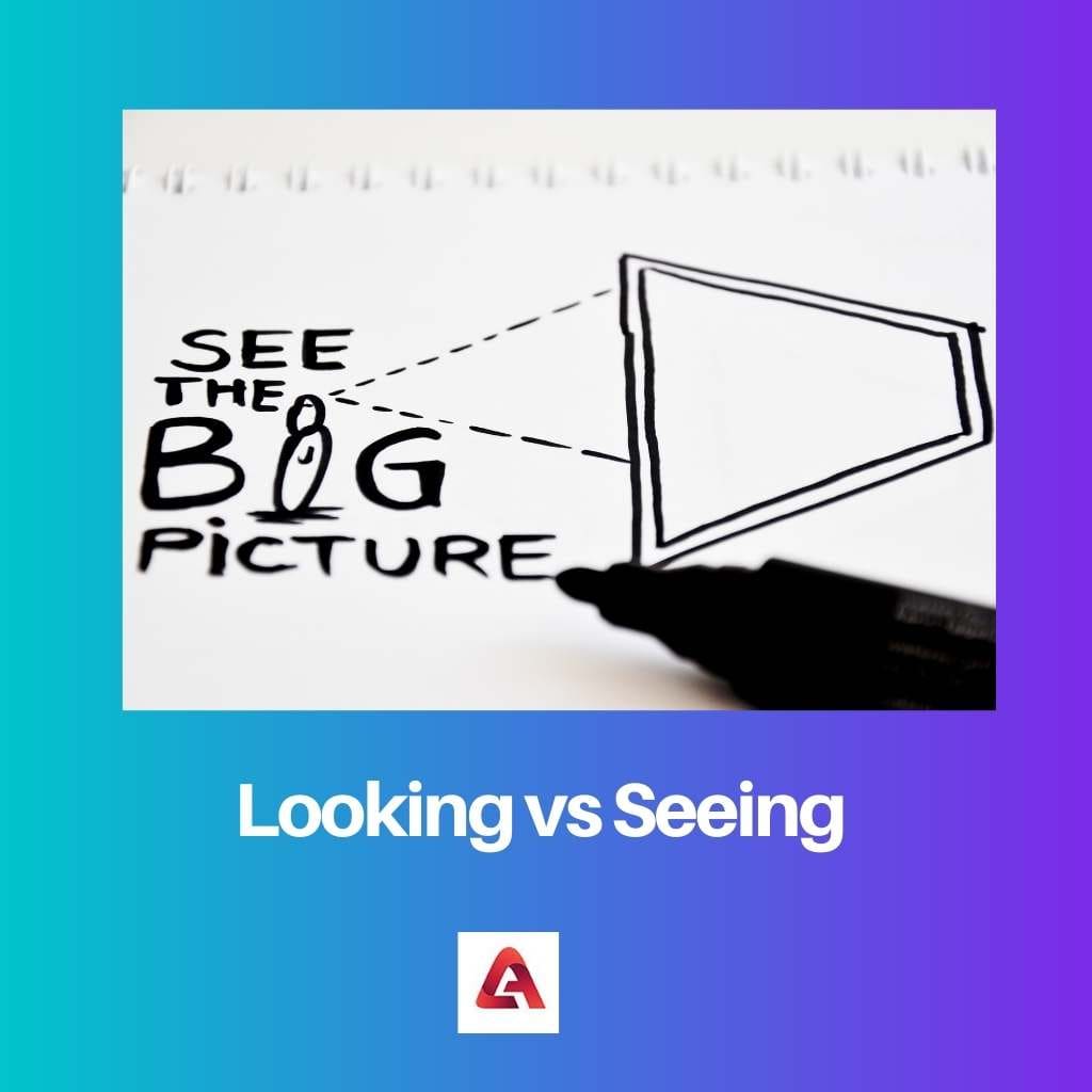 difference-between-looking-and-seeing