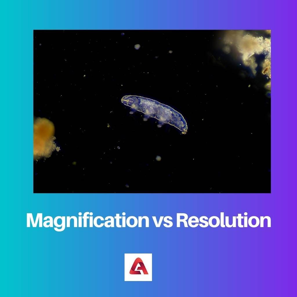 Magnification vs Resolution